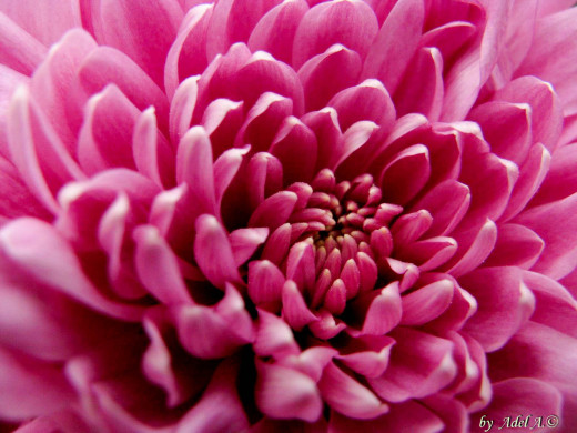 432309 (a): :1600x1200
